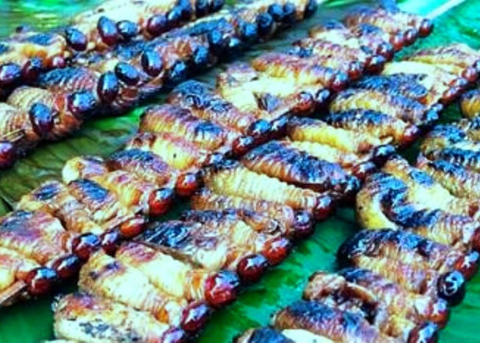 Mengenal Sate Ulat Sagu, Kuliner Indonesia yang Menarik Perhatian Dunia 
