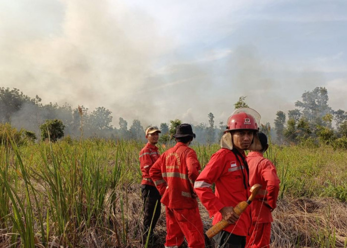 Empat Kabupaten di Sumsel Tetapkan Siaga Karhutla Jelang Musim Kemarau
