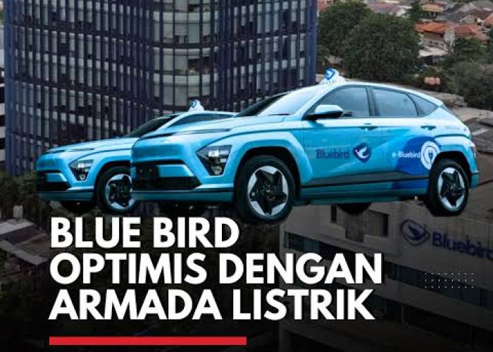 Bluebird Prime Resmi Meluncur, Gunakan Toyota Innova Zenix Hybrid dan BYD E6 untuk Layanan Taksi Premium
