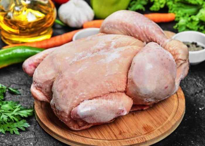 Stop Makan Ini! Ternyata Bagian Ayam yang Satu Ini Beracun dan Tidak Baik untuk Dikonsumsi