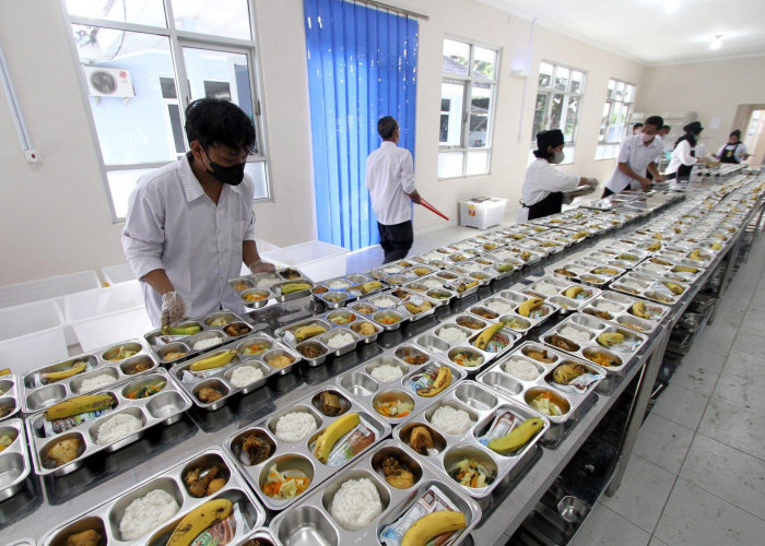 Ribuan Dapur Program Gizi Dihentikan Sementara, BGN Temukan Masalah Sanitasi dan Dugaan Keracunan