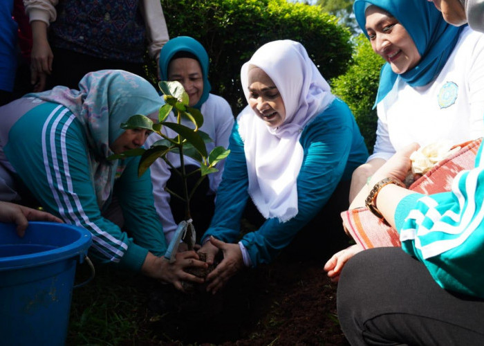 Kampanyekan 10 Program Pokok melalui Gerakan Tanam Cabai