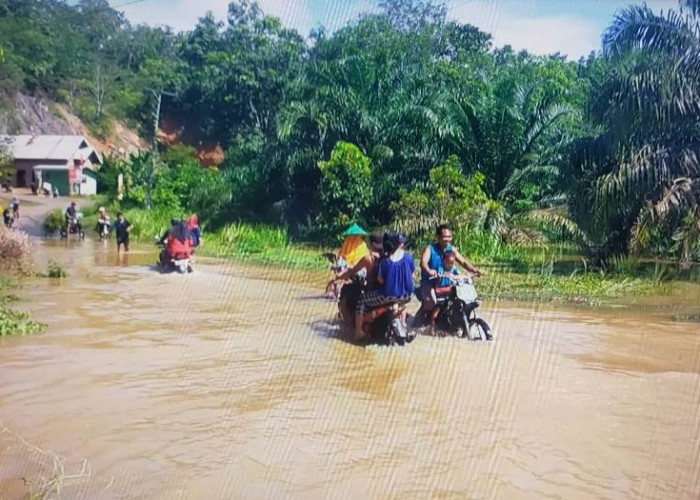 Banjir Melanda Desa Sri Mulyo Membuat Akses Jalan Terhambat Dan Kerugian Pembudidaya Ikan 