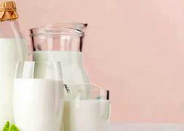 Apakah Boleh Keseringan Minum Susu? Cek Manfaat dan Risiko Mengonsumsi Susu untuk Kesehatan