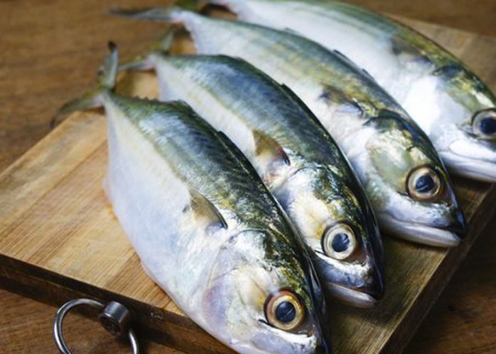 Manfaat Luar Biasa Ikan Kembung untuk Makanan Pendamping ASI (MPASI) Bayi Anda