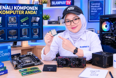 Sering Disebut CPU? Ini 5 Istilah Komputer yang Ternyata Keliru
