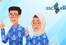 Update Lengkap Pendaftaran CPNS 2026: Jadwal, Formasi, dan Syaratnya