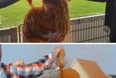 Tradisi Unik Di Denmark ! Belum Menikah di Usia 25 Tahun Akan Dimandikan Bubuk Kayu Manis