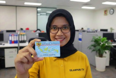 Tak Pernah Ajukan Pinjol? Begini Cara Cek NIK KTP Anda