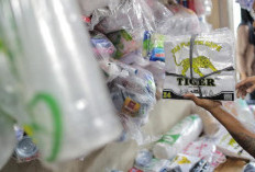 Harga Plastik Diprediksi Turun, Pemerintah Cari Sumber Impor Baru