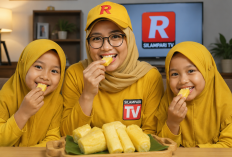 Cara Membuat Tape Singkong Kering dan Manis, Resep Rumahan Praktis dengan Hasil Legit dan Anti Gagal