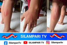 Viral di Media Sosial! Guru SD Negeri di Lubuklinggau Diduga Lakukan Kekerasan terhadap Murid