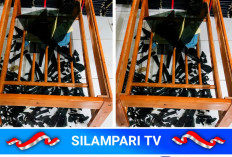 Diduga Rusak Meja Sekolah karena Nilai Anak Rendah, Camat Bengkulu Selatan Terancam Nonjob