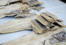  Cara Ampuh Hilangkan Rasa Asin Berlebih pada Ikan Asin: Rendam Berapa Lama?