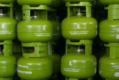 Pemerintah Pastikan LPG 3 Kg Tetap Stabil, Bahlil Soroti Masalah Distribusi