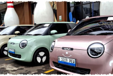 Mobil Listrik Imut yang Mencuri Perhatian: Changan Lumin Digemari Berbagai Kalangan