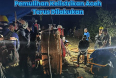 Di Tengah Cuaca Ekstrem, Pemulihan Kelistrikan Aceh Terus Dilakukan