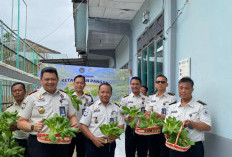 Produktif dan Mandiri, Kalapas Narkotika Muara Beliti Panen Melon Inthanon dan Sawi Hidroponik