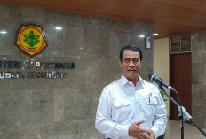 Pemerintah Tetapkan Harga Acuan Ayam Hidup dan Telur Mulai 15 Juli 2026, Lindungi Peternak dan Jaga Stabilitas