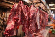Harga Daging Sapi di Produsen Naik, Pemerintah Pastikan Harga Pasar Tetap Stabil