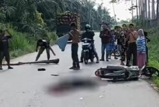 Petani di Muratara Tewas Usai Motor Tersenggol Truk Saat Menyalip