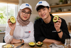 Alpukat Cepat Hitam? Coba 9 Cara Ini agar Tetap Segar Meski Disimpan di Kulkas