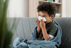 Flu Singapura Merebak di Sumsel, Ratusan Anak Terjangkit  Sumber