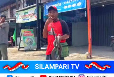 Heboh! Pria di Bengkulu Tewas Usai Mainkan Ular Kobra di Pasar