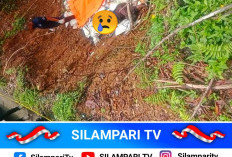 Heboh! Mayat Perempuan Ditemukan di Pinggir Jalan Liku 9 Kepahiang