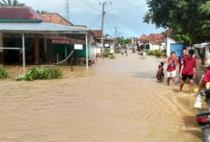Sungai Rupit Meluap, Ratusan Rumah Warga di Muratara Terdampak Banjir