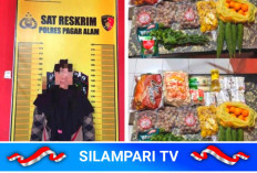 Diduga Ambil Belanjaan Tanpa Membayar, Seorang PNS Asal Lahat Diamankan Polisi di Pagar Alam
