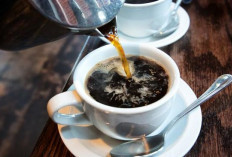 Minum Kopi Saat Mudik Boleh Saja, Tapi Penderita GERD Harus Waspada