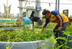 Sinergi Pemda Merangin dan PLN Bersihkan Kota Bangko, Jaga Lingkungan Sekaligus Keandalan Listrik