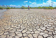 Musim Kemarau di Sumsel Diprediksi Lebih Panjang hingga September 2026