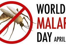 Hari Malaria Sedunia 2026: Mimika Perkuat Upaya Tekan Kasus Hingga 2030
