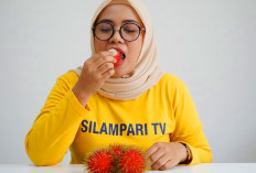 Jarang Disadari, Buah Rambutan Ternyata Punya Banyak Manfaat Kesehatan