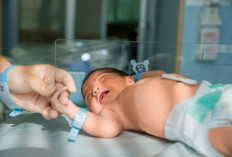 Viral Bayi Otomatis Jadi Peserta BPJS, Ini Klarifikasi Resmi dan Aturan Terbarunya