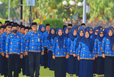 Pelantikan PPPK Paruh Waktu Musi Rawas Segera Digelar, Ratusan Peserta Masih Perbaiki NIP