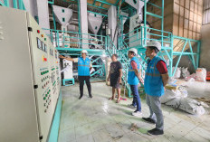 Konsumsi Listrik Nasional Tumbuh, PLN Catat Penjualan 317,69 TWh di 2025