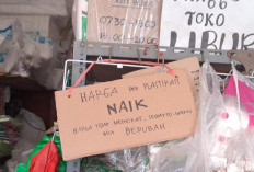 Harga Plastik Melonjak, Ini Penyebab dan Dampaknya bagi Industri dan Konsumen