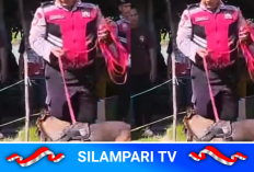 Polisi Intensif Buru Pelaku Perampokan 12 Suku Emas di Ogan Ilir, Warga Diminta Tingkatkan Kewaspadaan