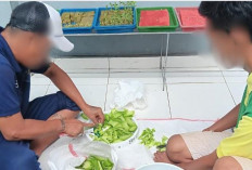 Pembinaan Kemandirian Berbasis Lingkungan, Lapas Narkotika Muara Beliti Olah Limbah Jadi Pupuk Kompos