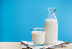 Minum Susu Sebelum Tidur Bikin Gula Darah Naik? Ini Penjelasan Ilmiahnya
