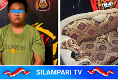 Kerugian Rp7 Juta, Pemuda di Lubuklinggau Diduga Curi Sofa Milik Ibu Sendiri
