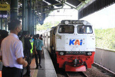 Waspada Perlintasan Kereta: Risiko Mobil Listrik Mogok Akibat Medan Elektromagnetik