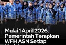 Pemerintah Terapkan WFH Setiap Jumat, Langkah Efisiensi Energi di Tengah Situasi Global