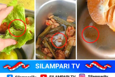 Viral! Cacing dan Ulat Ditemukan di Menu MBG Musi Rawas, Dua Desa Tolak Distribusi