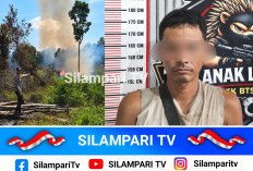 Petani di Musi Rawas Diamankan Polisi Usai Buka Lahan dengan Cara Dibakar, 2,4 Hektare Lahan Hangus
