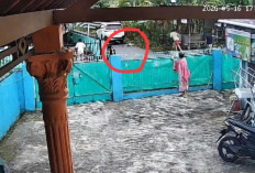 Polisi Amankan Pengemudi Rush Usai Tabrak Bocah 7 Tahun di Lubuklinggau