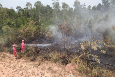 Bersama Perangi Asap, Pertamina EP Ramba Field Bantu Warga Padamkan Karhutla di Sekitar Wilayah Operasi
